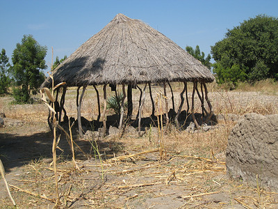 非洲小屋农村农场房子农业木头村庄背景图片