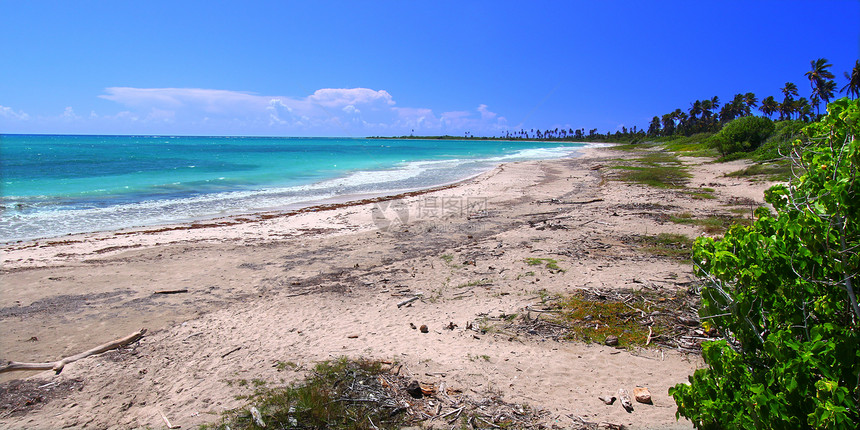 Guanica海滩波多黎各支撑全景栖息地冲浪海洋天堂热带假期生态旅游里科图片