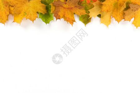 秋叶树叶制作的彩色边框绿色红色橙子天气黄色季节背景图片