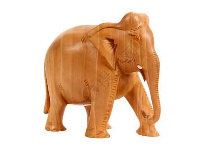 大象白色木雕哺乳动物小路动物棕色獠牙象牙剪裁动物学背景图片