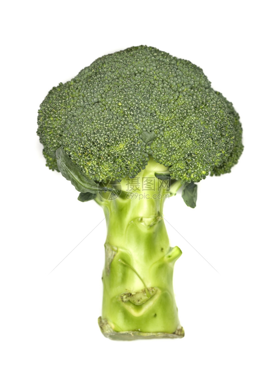 新鲜花椰菜茴香工作室菜单杂货蔬菜绿色食物医学美食家水果图片