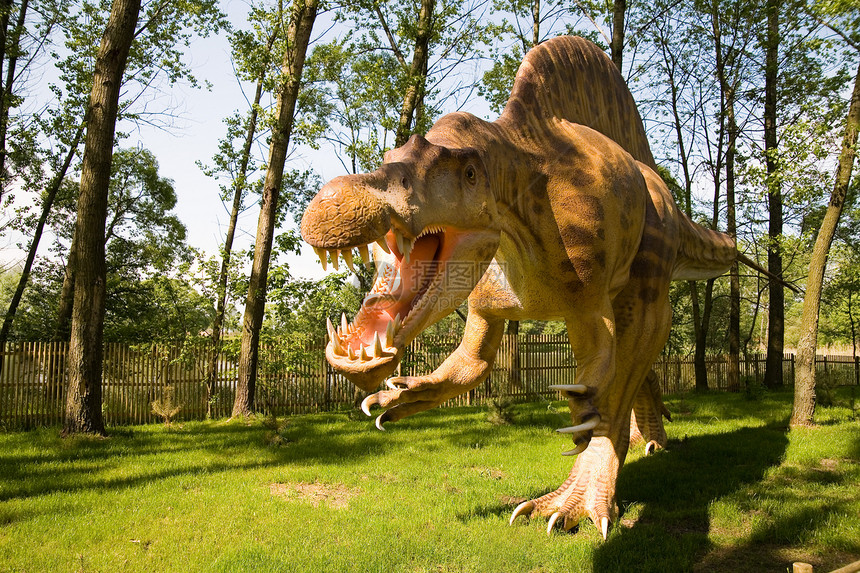 脊柱词库催化石模仿捕食者盆纪攻击身体蜥蜴恐龙棘龙三重奏化石图片