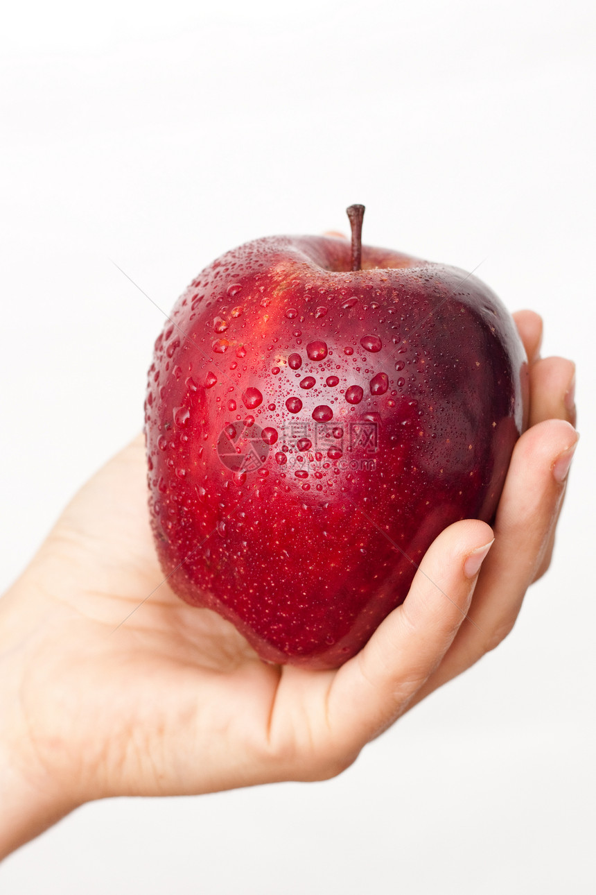 手工摘红苹果生活女孩蔬菜水果减肥图片