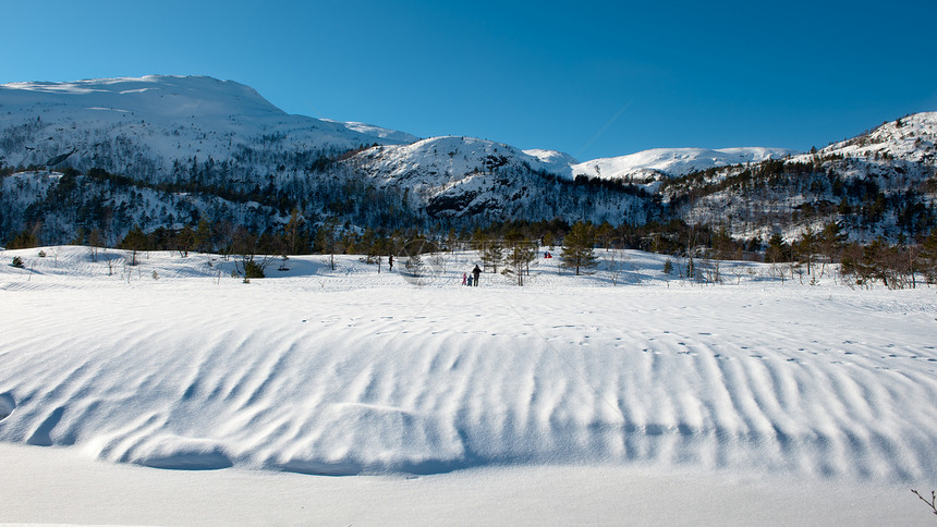 挪威风貌滑雪场景地形季节爬坡天气场地海鸥阳光国家图片