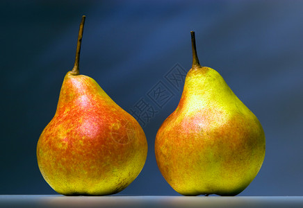 暗黑背景上两颗梨子背景图片