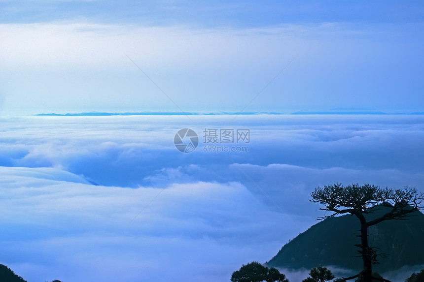 山青山的云和雾 在中国江西拍电影松树岩石图片
