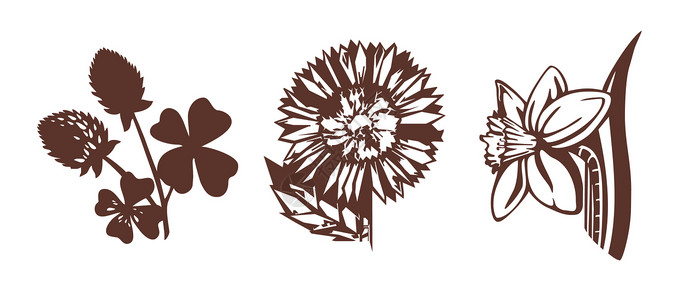 鲜花插图郁金香三叶草向日葵风格装饰绘画背景图片