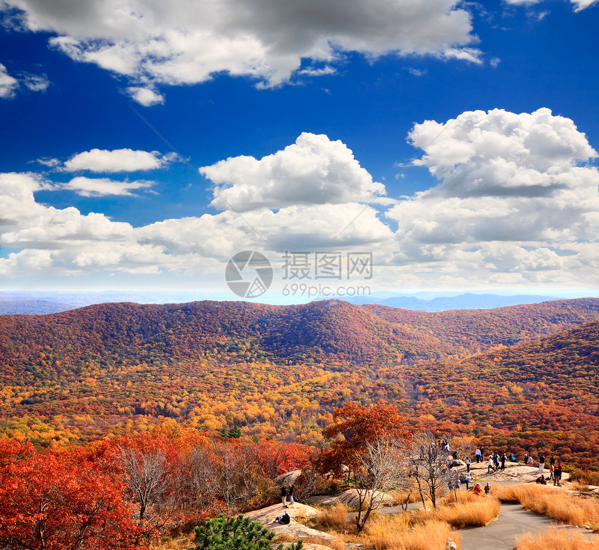 灰熊山顶的叶子景色民众地面公园森林风景天空橙子晴天季节场景图片