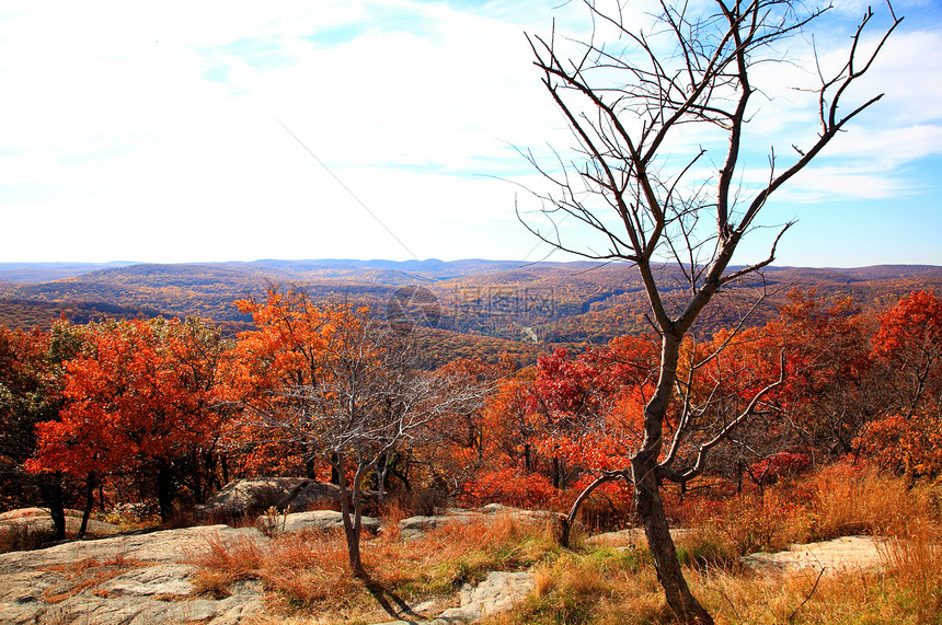 灰熊山顶的叶子景色公园晴天天空地面森林场景橙子民众娱乐蓝色图片