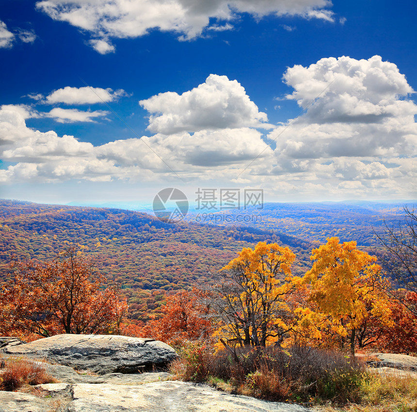 灰熊山顶的叶子景色木头季节公园民众晴天场景风景地面橙子森林图片
