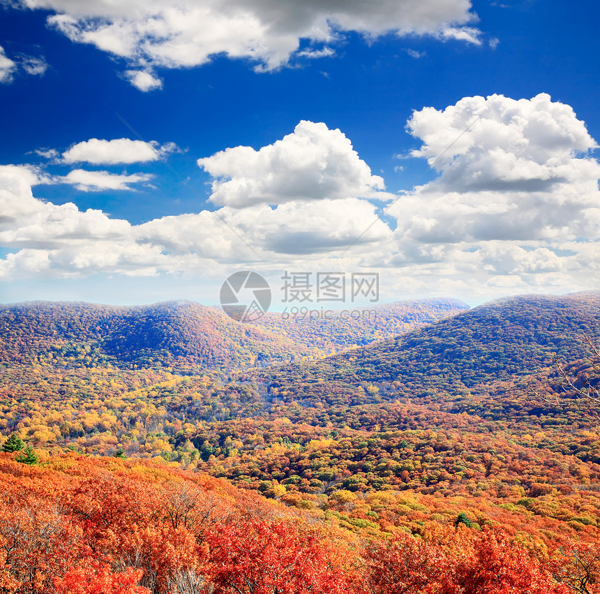 灰熊山顶的叶子景色蓝色橙子晴天木头天空季节农村娱乐森林场景图片