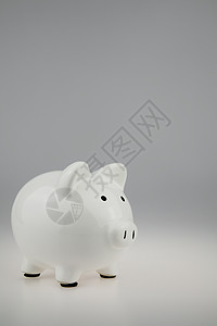 白猪银行摄影金融空格处白色储蓄财政金钱背景图片