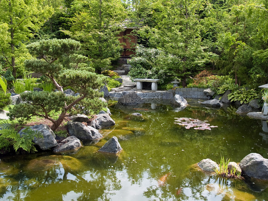 美丽的古典花园鱼池植物瀑布园艺百合喷泉长椅岩石绿色池塘石头图片