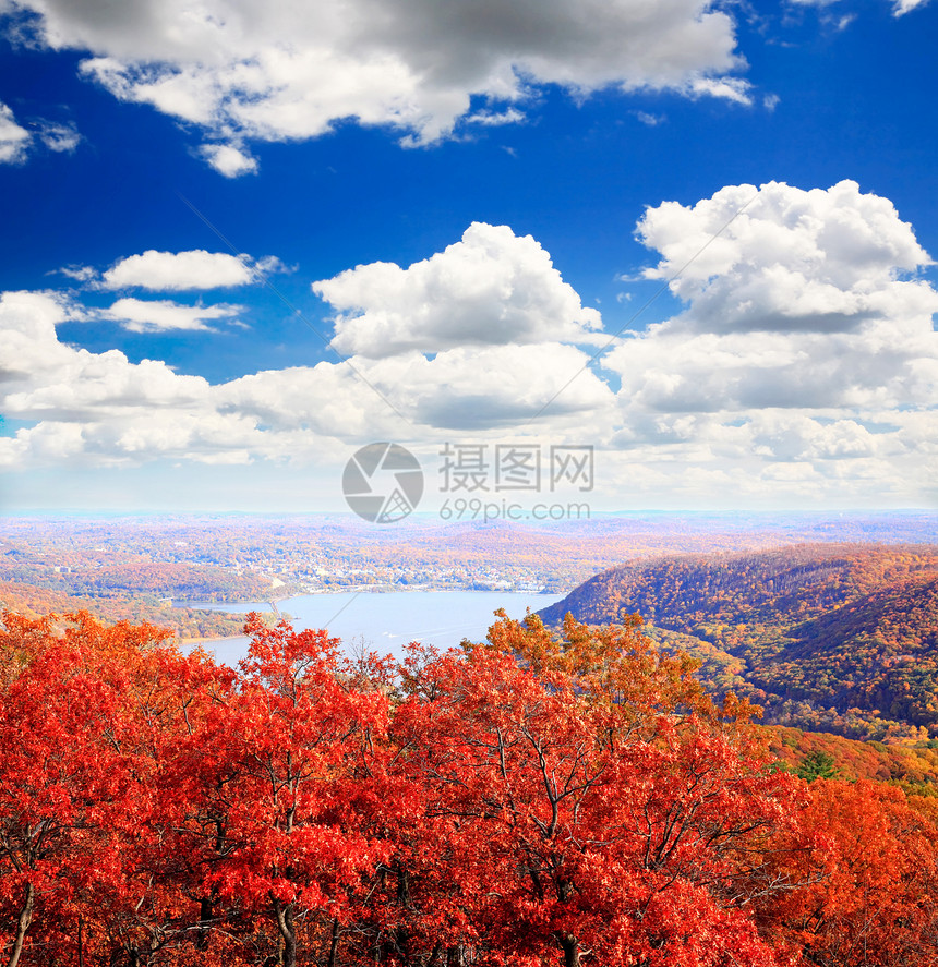 灰熊山顶的叶子景色娱乐农村木头晴天公园风景森林季节蓝色地面图片