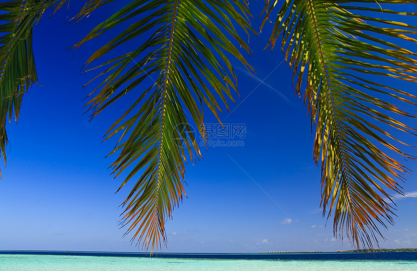马尔代夫的热带天堂地平线气候美丽叶子阳光旅行蓝色海洋太阳海浪图片