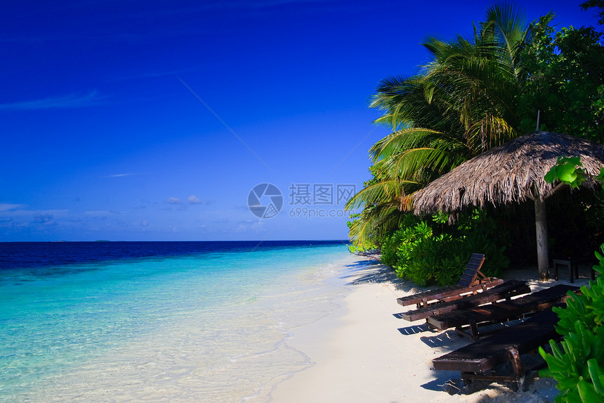 马尔代夫的热带天堂地平线游客叶子美丽海洋海景躺椅阳光风景旅行图片
