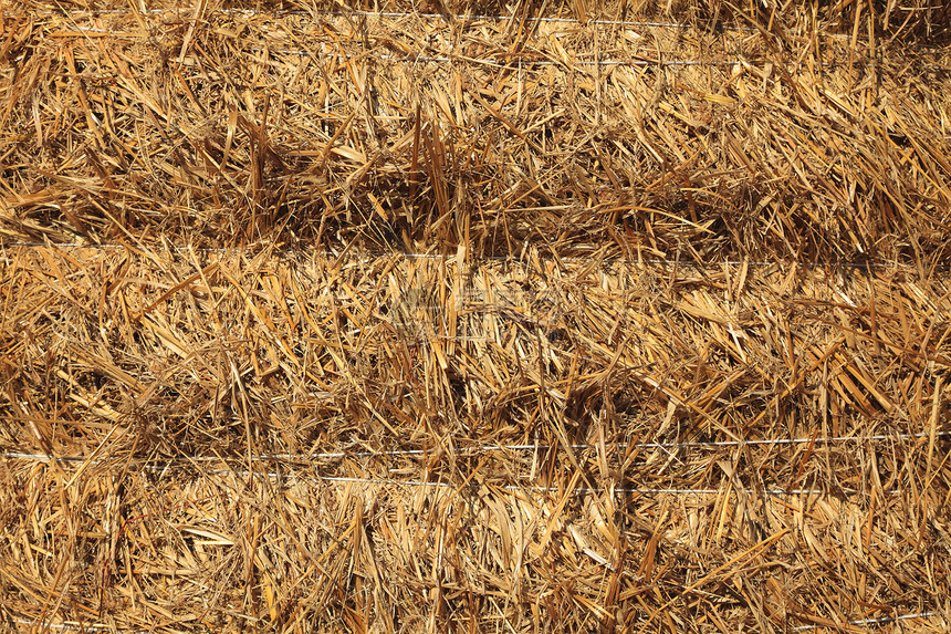 海纹质饲料植被营养农业黄色农场草堆小麦贮存农村图片