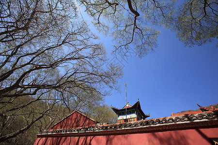 旅游观光景公园旅行宗教森林游客建筑大树宝塔风景寺庙背景图片