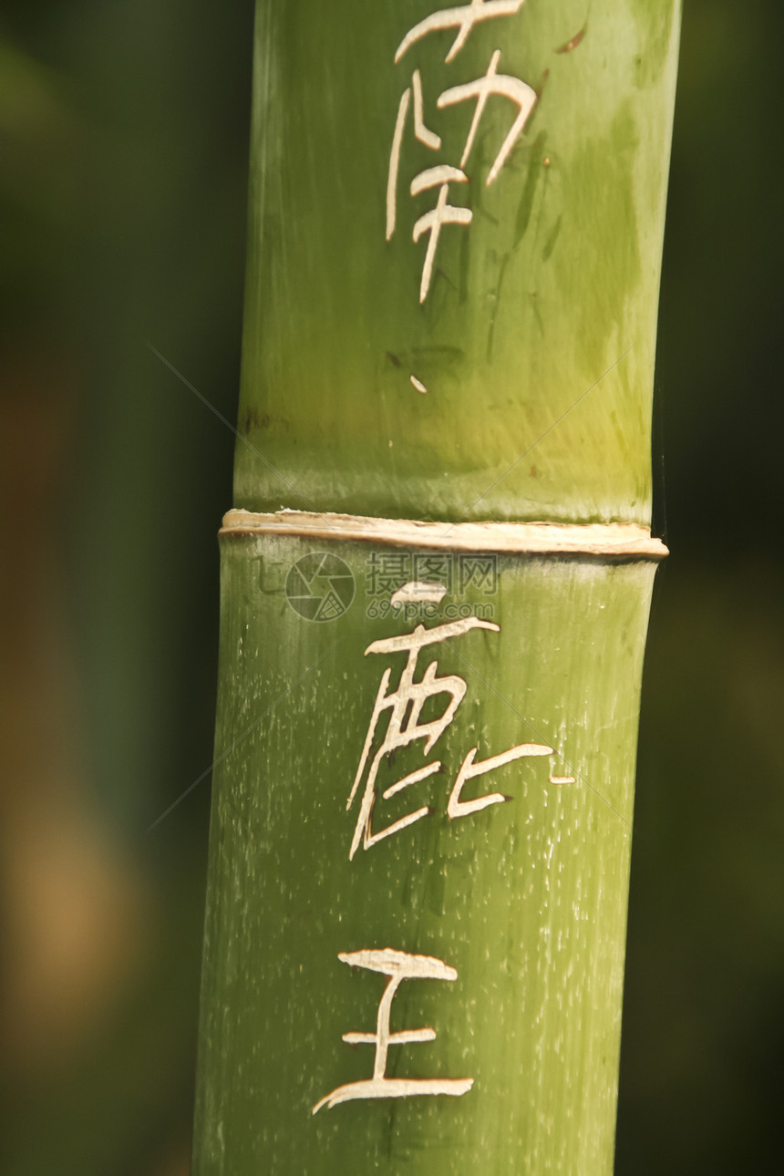 竹子雕刻的中国符号精神温泉点缀公园材料写作植物食物绿色热带图片