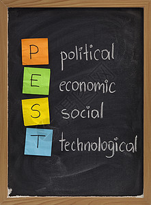 非法社会组织A 政治 经济 社会 技术分析背景