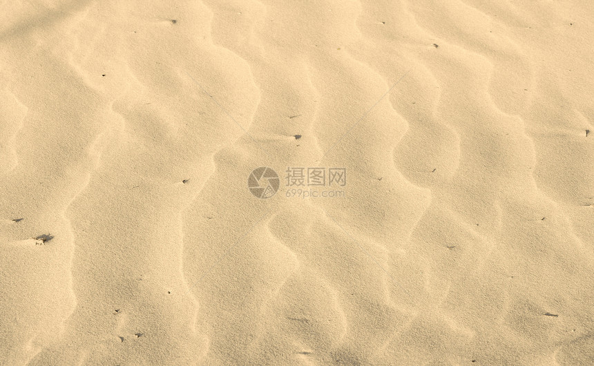 美丽的沙地背景水泥沙丘海滩沙漠棕色鹅卵石图片