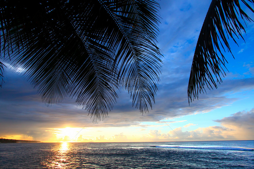 波多黎各日落海洋冲浪海景海滩支撑棕榈海岸线叶子海岸里科图片