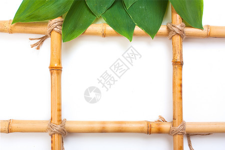 竹子图片的框架树叶铭牌招牌广告相片植物牌匾热带白色盘子背景图片