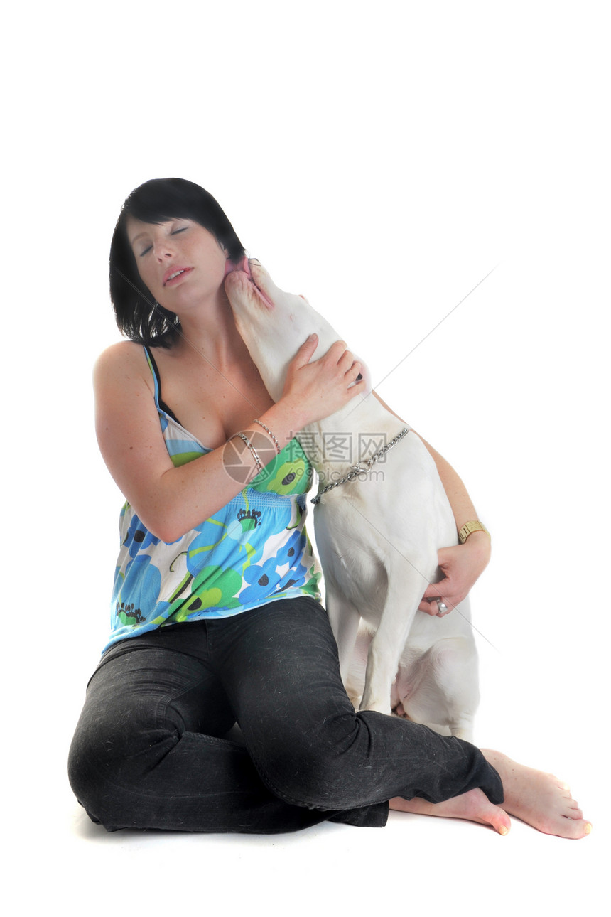 小狗多果阿根廷女士宠物女孩白色犬类工作室享受动物舌头图片