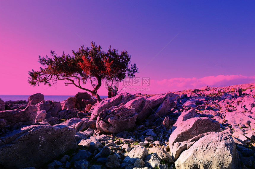罗得海岸爬坡岩石石头地形日落蓝色海湾海洋支撑图片