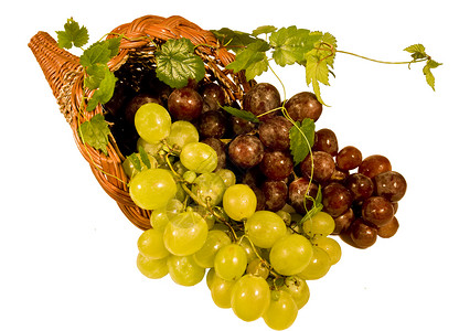 数组食物饮料柳条水果白色聚宝盆黑色树叶绿色藤蔓背景图片