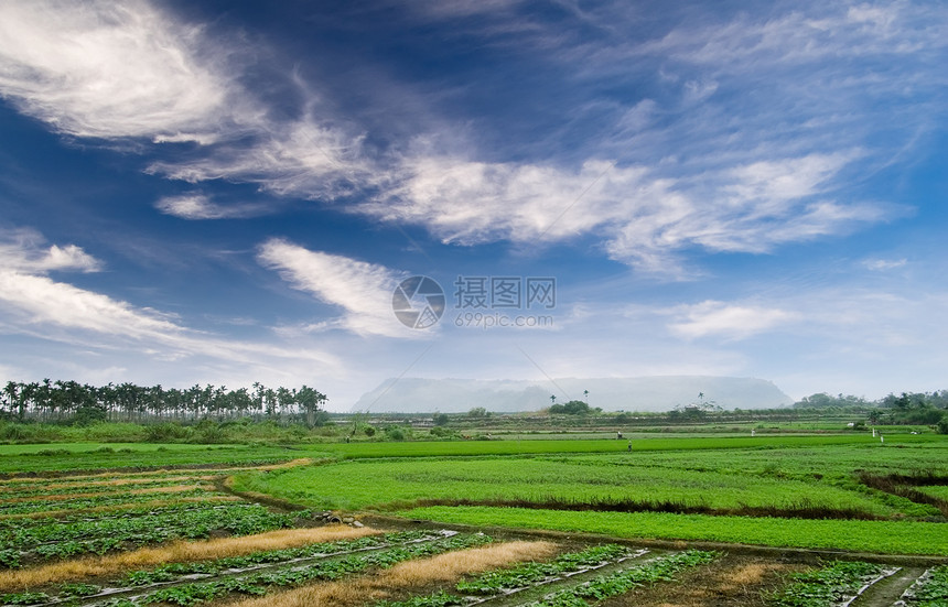 农场场地农业植物环境草原季节天空农村蓝色牧场图片