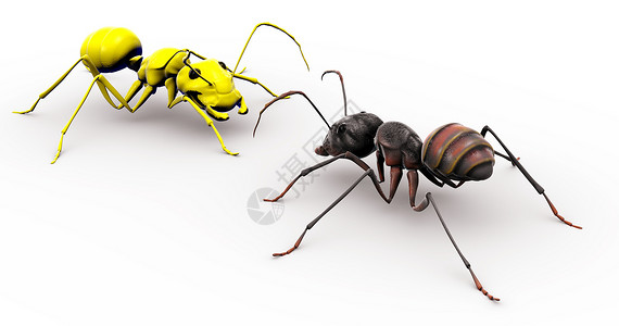 黄色蚂蚁蚂蚁对黄笑脸蚂蚁说话背景