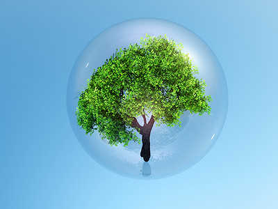 泡泡中的一棵树生态眼镜环境背景图片