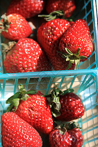草莓盘子红色糖果食物甜点树叶水果成熟高清图片素材