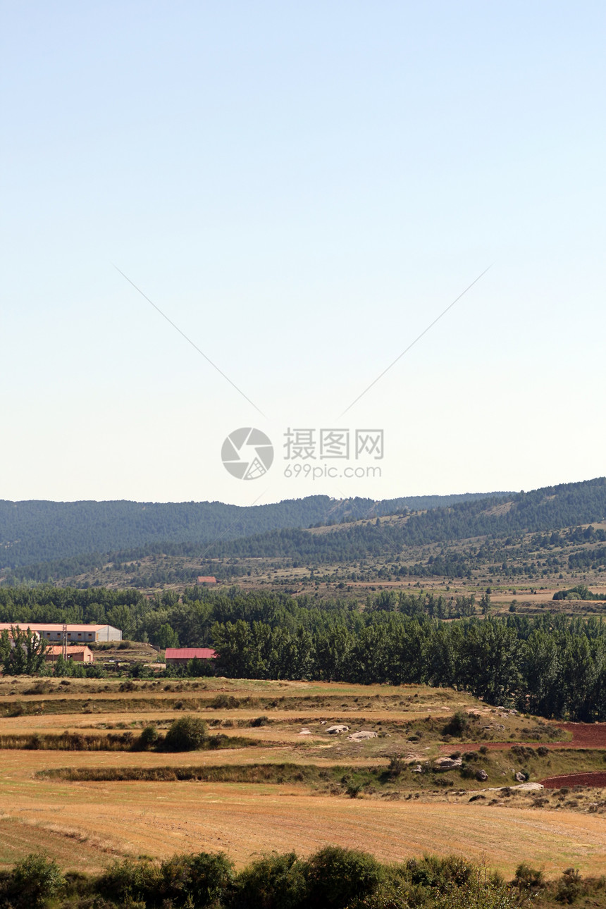 山区地貌草原牧羊人天空动物奶牛村庄奶牛场森林农场草地图片