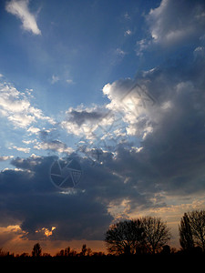 日落天空地平线分支机构剪影树木多云蓝色日出气氛背景图片