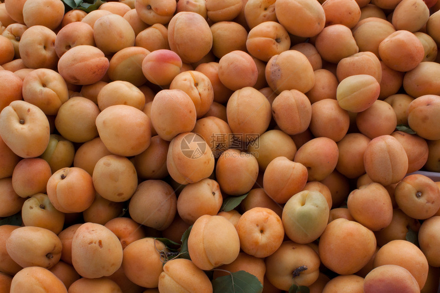 农民市场新鲜的杏仁饮食萝卜农业食物农场洋葱水果蔬菜营养黄瓜图片