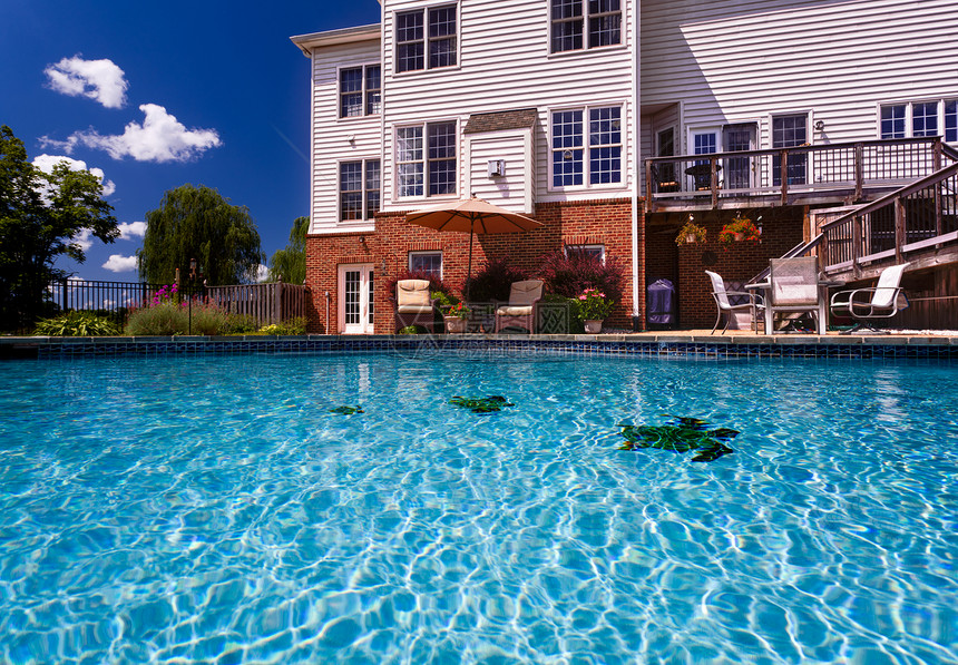 后院游泳池和庭院建筑学水晶游泳美化蓝色奢华住宅绿化露台花朵图片