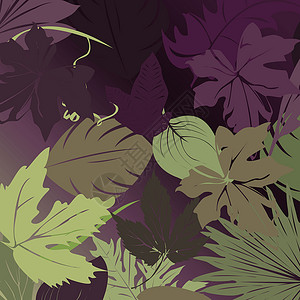 浪漫背景季节植物群死亡树叶环境公园叶子水平植物植物学背景图片