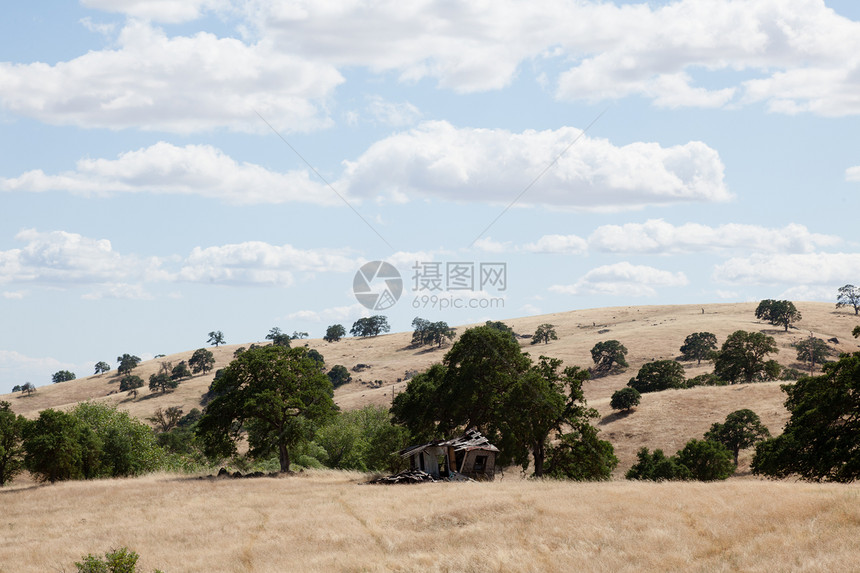 马丽珀萨脚下山树木农村山麓草地风景旅行金子丘陵国家农田图片