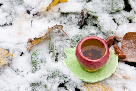 奈雪的茶在雪覆盖的叶子背景上喝杯茶飞碟落叶黑色茶托树叶背景