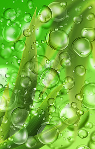 滴水自然气泡生态水滴宏观背景图片