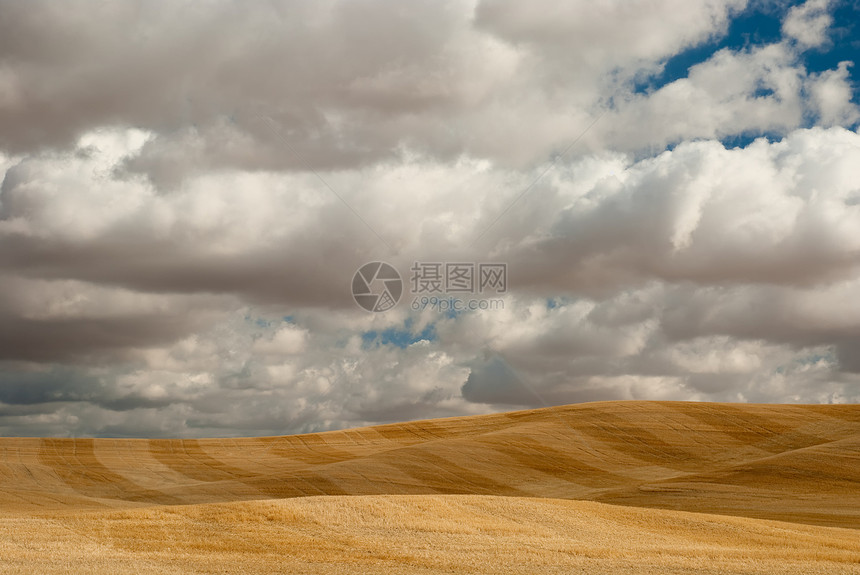 美国华盛顿惠特曼县收获小麦田地形态和云层图片