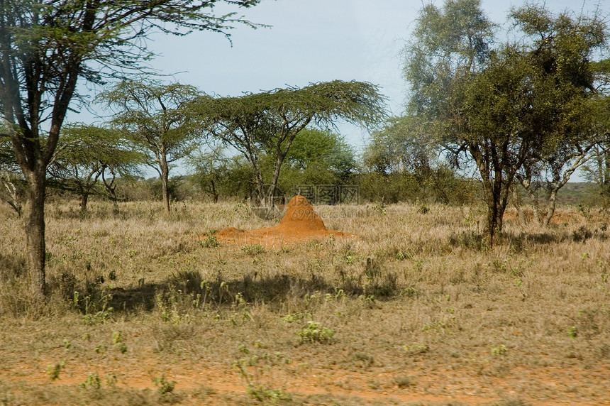 肯尼亚-1图片