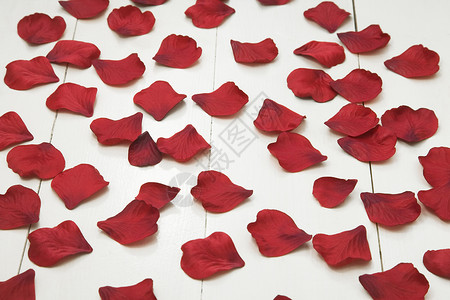 白色木制地板上假红造的玫瑰花瓣背景图片