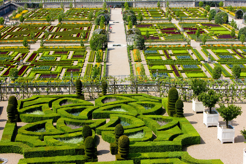 法国中心的Villandry城堡花园花坛植物学城堡世界旅行植物群植物命令外观园艺图片
