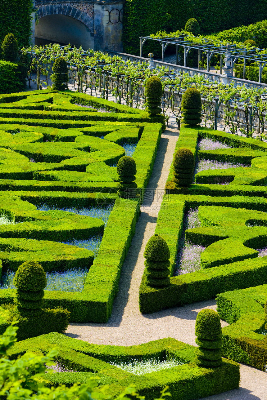 法国中心的花园配菜命令世界遗产宫殿城堡植物学植物群植物园艺外观图片