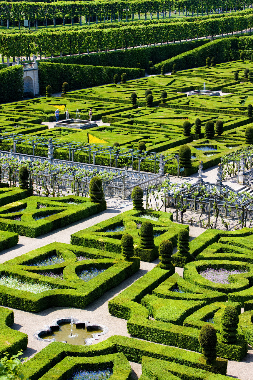 法国中心的Villandry城堡花园世界遗产园艺外观世界植物群植物花坛宫殿旅行植被图片
