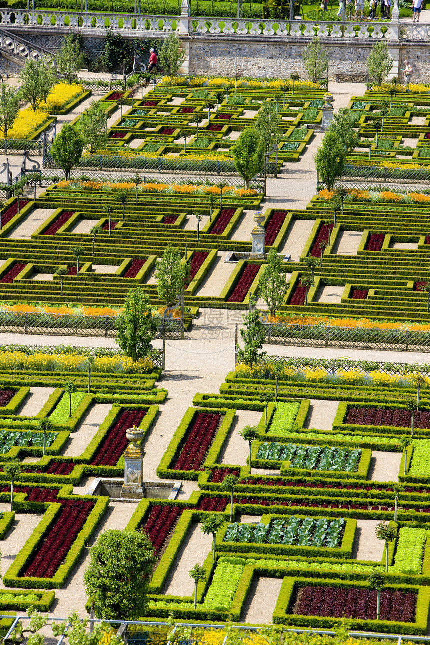 法国中心的花园植物群命令植被宫殿配菜植物学花坛植物旅行世界遗产图片