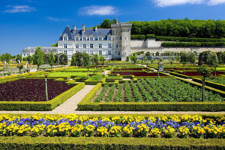 法国中心花园的Vendry城堡植被旅行建筑物世界遗产世界花坛园艺外观中心历史图片